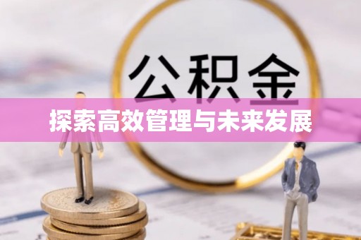 邵武探索高效管理与未来发展