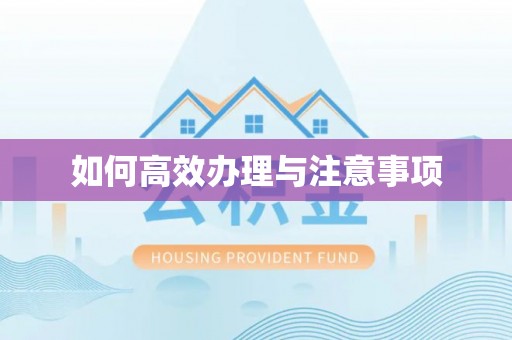 邵武如何高效办理与注意事项