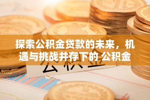 邵武探索公积金贷款的未来，机遇与挑战并存下的 公积金贷款风险防控