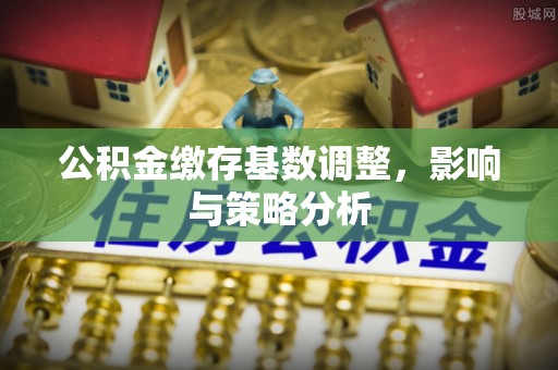 邵武公积金缴存基数调整，影响与策略分析