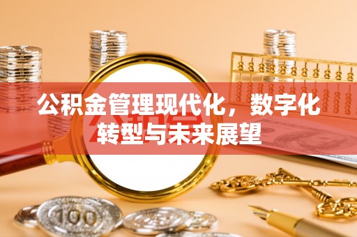邵武公积金管理现代化，数字化转型与未来展望