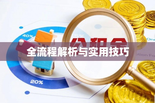 邵武全流程解析与实用技巧