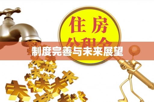 邵武制度完善与未来展望