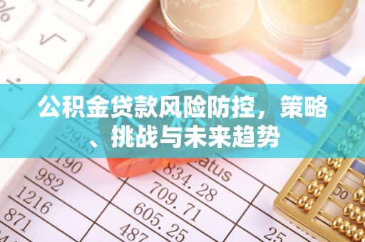 邵武公积金贷款风险防控，策略、挑战与未来趋势