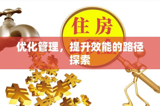 邵武优化管理，提升效能的路径探索