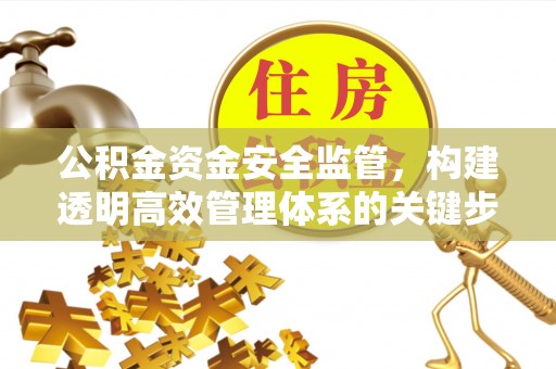 邵武公积金资金安全监管，构建透明高效管理体系的关键步骤