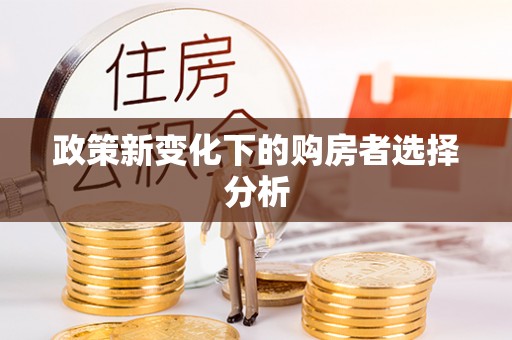 邵武政策新变化下的购房者选择分析