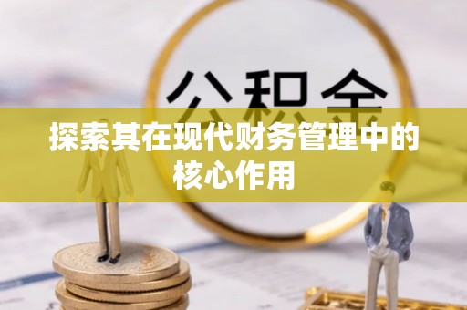 邵武探索其在现代财务管理中的核心作用