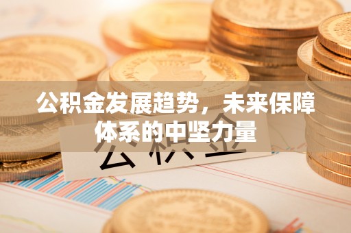 邵武公积金发展趋势，未来保障体系的中坚力量