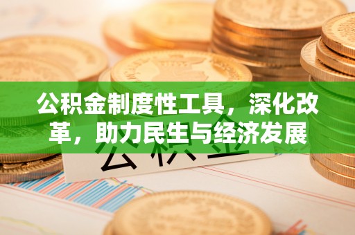 邵武公积金制度性工具，深化改革，助力民生与经济发展
