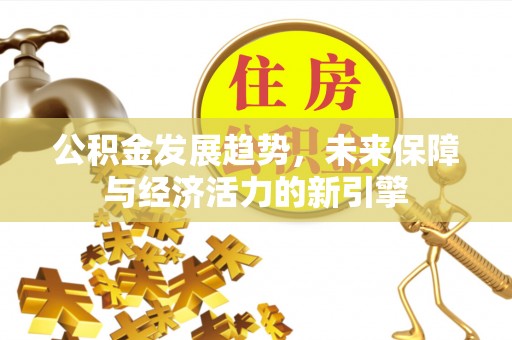 邵武公积金发展趋势，未来保障与经济活力的新引擎