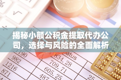 邵武揭秘小额公积金提取代办公司，选择与风险的全面解析