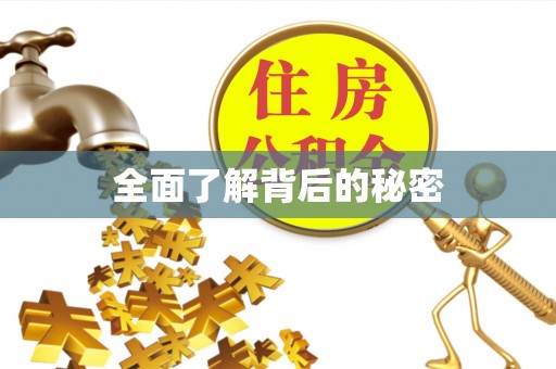 邵武全面了解背后的秘密
