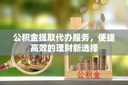 邵武公积金提取代办服务，便捷高效的理财新选择