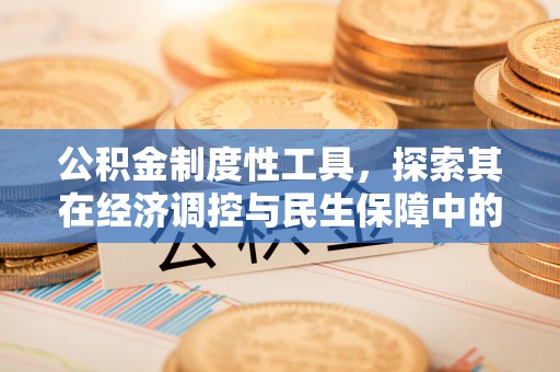 邵武公积金制度性工具，探索其在经济调控与民生保障中的重要作用