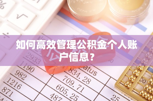 邵武如何高效管理公积金个人账户信息？