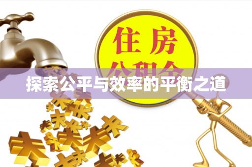 邵武探索公平与效率的平衡之道