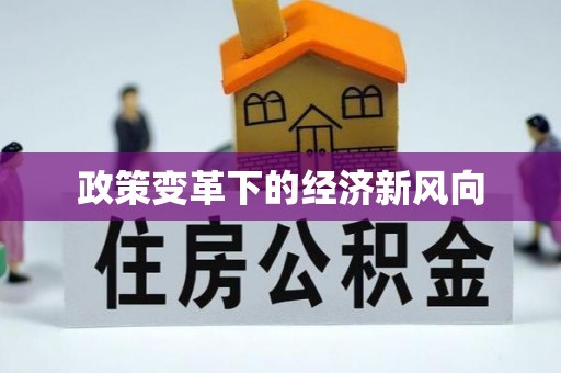 邵武政策变革下的经济新风向
