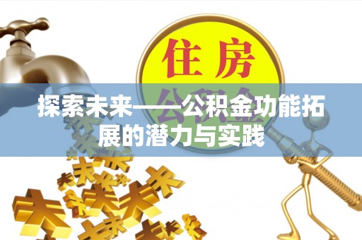 邵武探索未来——公积金功能拓展的潜力与实践