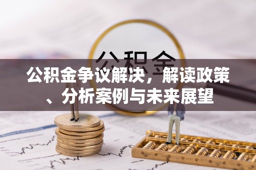 邵武公积金争议解决，解读政策、分析案例与未来展望
