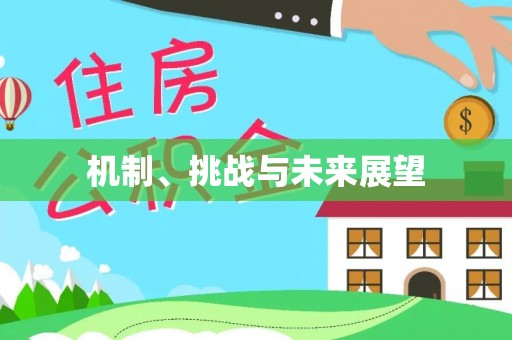 邵武机制、挑战与未来展望