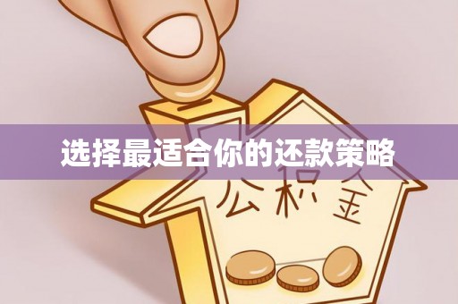 邵武选择最适合你的还款策略